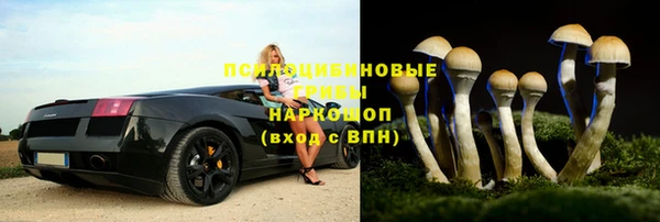 спиды Алексеевка