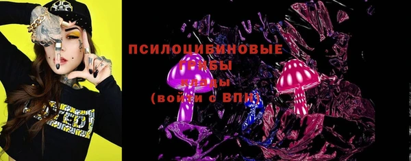спиды Алексеевка