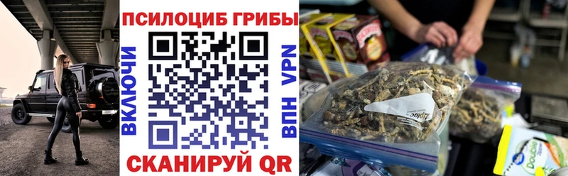 Псилоцибиновые грибы Cubensis Октябрьский